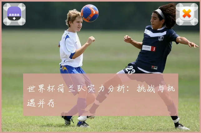 世界杯荷兰队实力分析:挑战与机遇并存