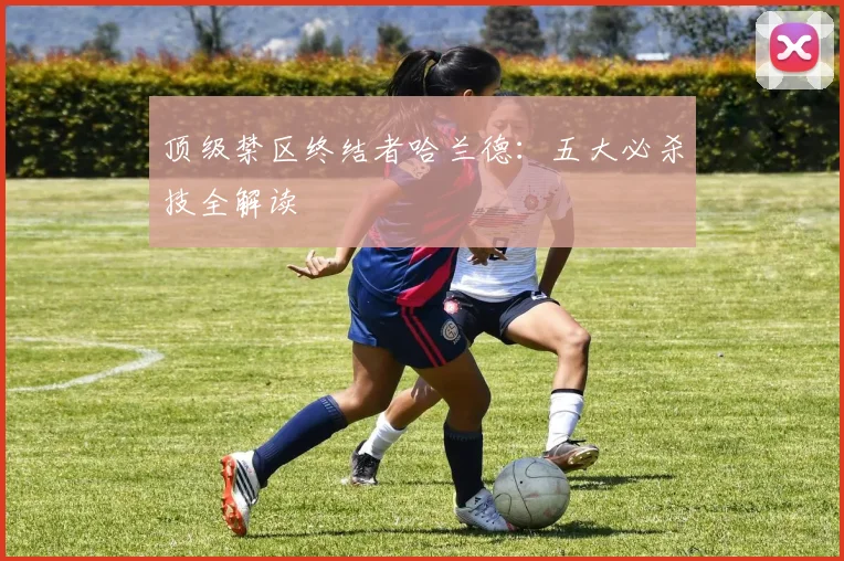顶级禁区终结者哈兰德:五大必杀技全解读