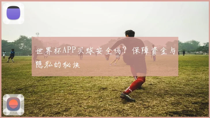 世界杯APP买球安全吗？保障资金与隐私的秘诀